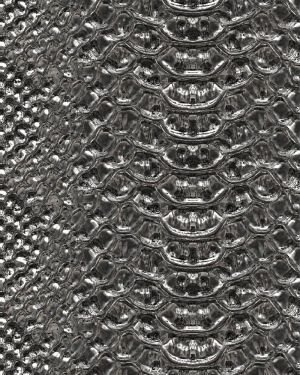 Chrome Snake Skin 22