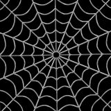 Chrome-Spider-Web.jpg
