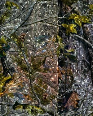 Chrome Tree Camouflage