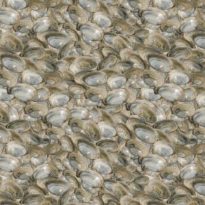 Clams 22