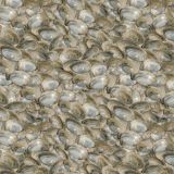 Clams-22.jpg