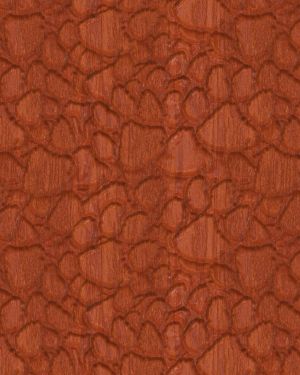 Clemson University Carved Wood Tiger Paw 23