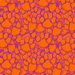 Clemson University Tiger Paw 24