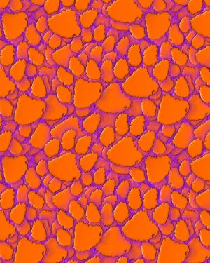 Clemson University Tiger Paw 24