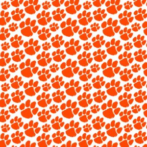 Clemson University Tiger Paw 27