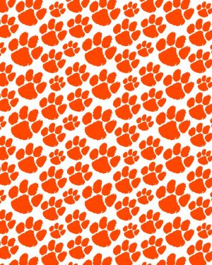 Clemson University Tiger Paw 27