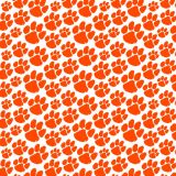 Clemson-University-Tiger-Paw-27.jpg