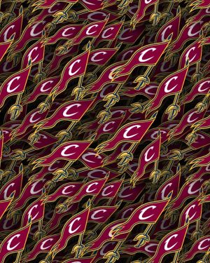 Cleveland Cavilers 23