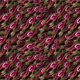 Cleveland-Cavilers-23.jpg