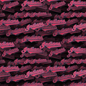 Cleveland Indians 22
