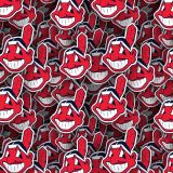Cleveland-Indians-23.jpg
