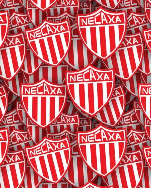 Club Necaxa