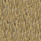 Coarse-Fur.jpg