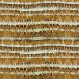Coconut-Palm-22.jpg