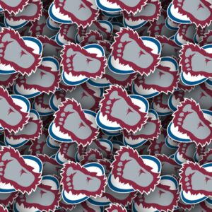 Colorado Avalanche 24