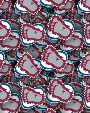 Colorado Avalanche 24