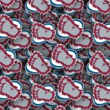 Colorado-Avalanche-24.jpg