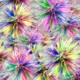 Colored-Powder-Explosion-22.jpg