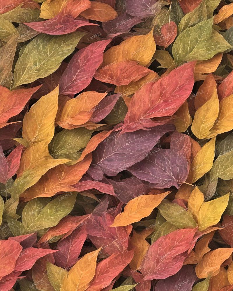 Colorful Leaf Abstract_164702