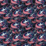 Columbus-Blue-Jackets-22.jpg