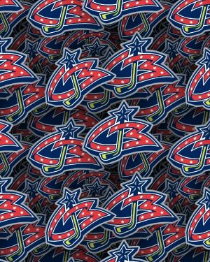 Columbus Blue Jackets 24