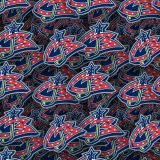 Columbus-Blue-Jackets-24.jpg