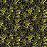 Columbus-Crew-SC-22.jpg