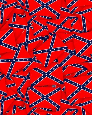 Confederate Flag 22