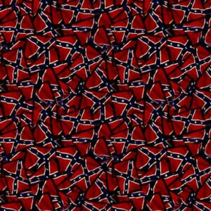 Confederate Flag 23