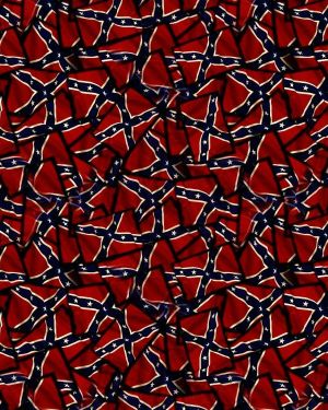 Confederate Flag 23