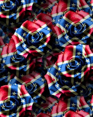 Confederate Rose