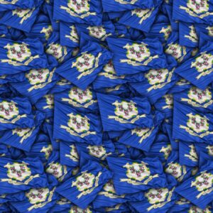 Connecticut State Flag