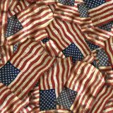 Constitutional-Flags-23-thumb-1.jpg