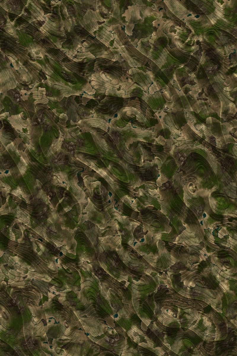 Continental Camouflage