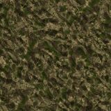 Continental-Camo.jpg