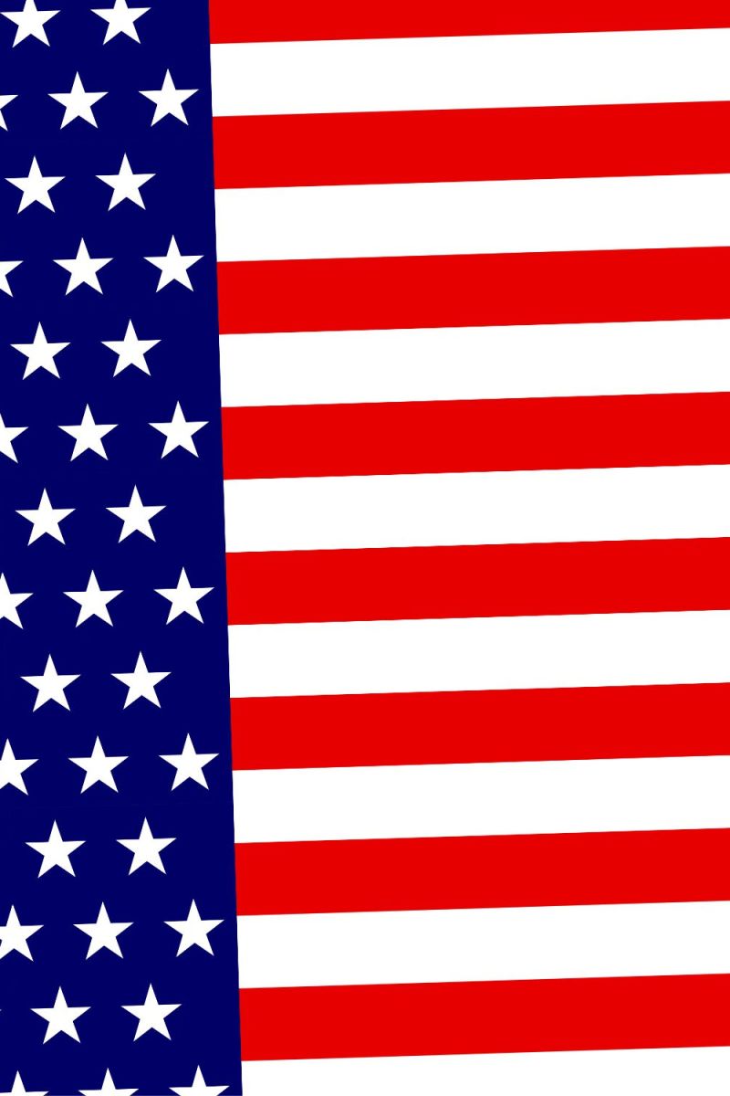 Continuous US Flag 24