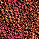 Copper-Mesh-42.jpg