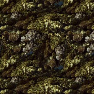 Coral 22 Camouflage