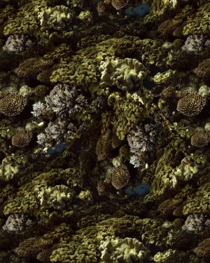 Coral 22 Camouflage