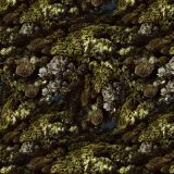 Coral-Camo-22.jpg