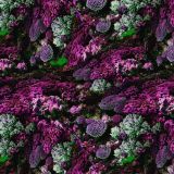 Coral-Camo-25.jpg