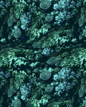 Coral 27 Camouflage