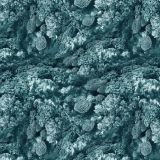 Coral-Camo-28.jpg