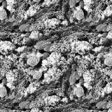 Coral-Camo-29.jpg