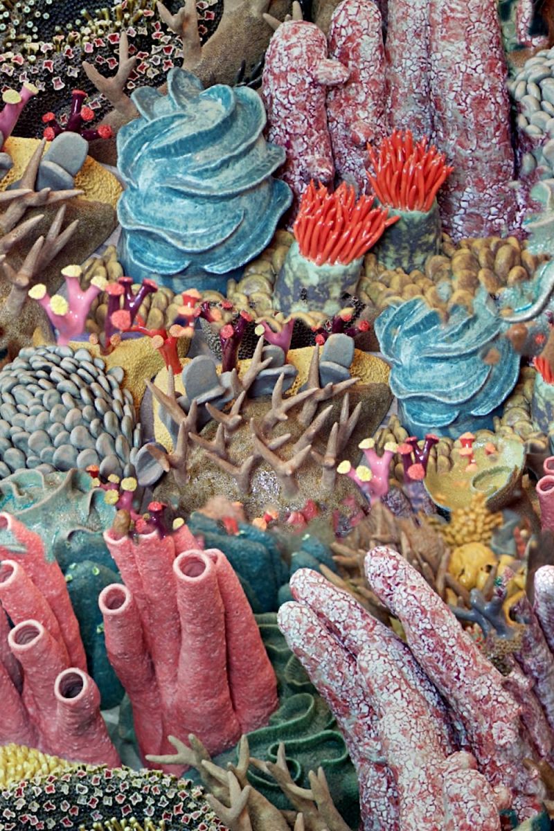Coral Reef 23