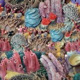 Coral-Reef-23.jpg