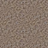 Coral-Stone.jpg