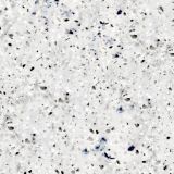 Corian-Arrowroot-thumb.jpg