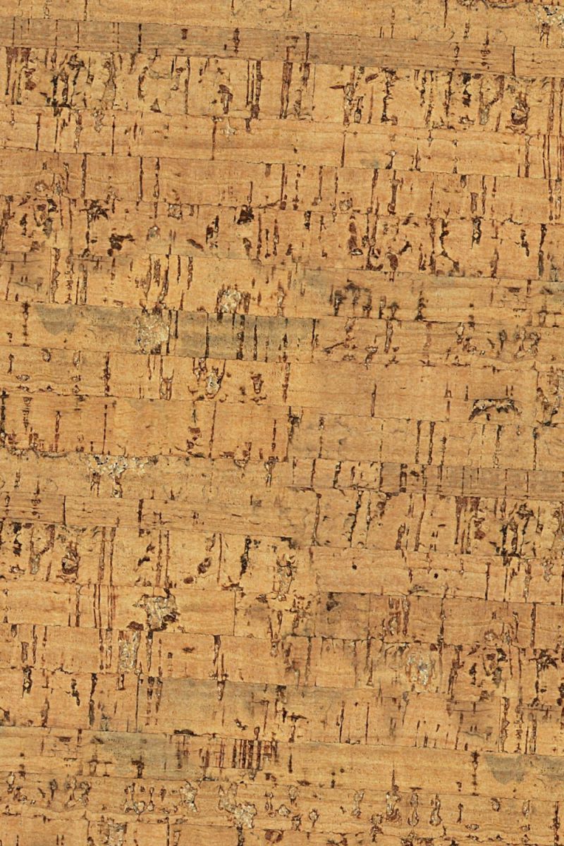 Cork Wood