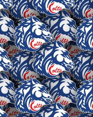 Cornwall Colts